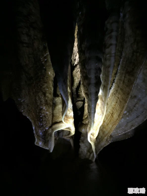 嗯～啊哈好深好骚啊哼探索神秘洞穴已深入五百米发现奇异发光生物