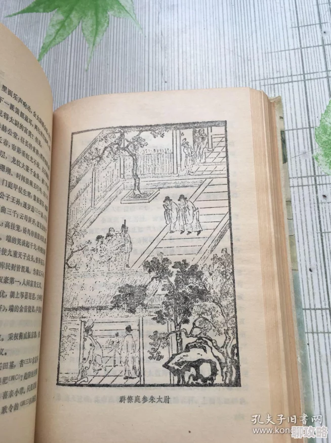 金瓶梅词话四之葡萄熟了新校注本已出版