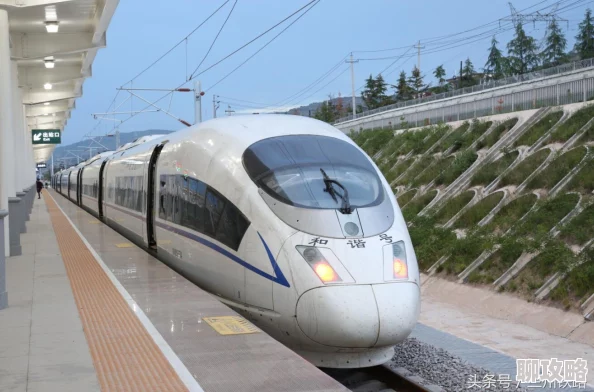 神秘电影vip5条通道在哪通道入口已更新详情请咨询客服