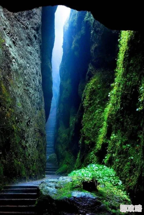 问道手游资深玩家揭秘:最新八仙梦境通关技巧与鲜为人知的高玩秘诀分享 问道手游资深玩家揭秘:最新八仙梦境通关技巧与鲜为人知的高玩秘诀分享