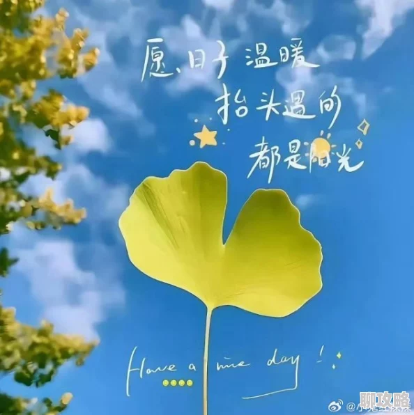 我的欲乱生活全文阅读积极向上,勇敢追求梦想,生活充满希望与美好 我的欲乱生活全文阅读积极向上,勇敢追求梦想,生活充满希望与美好