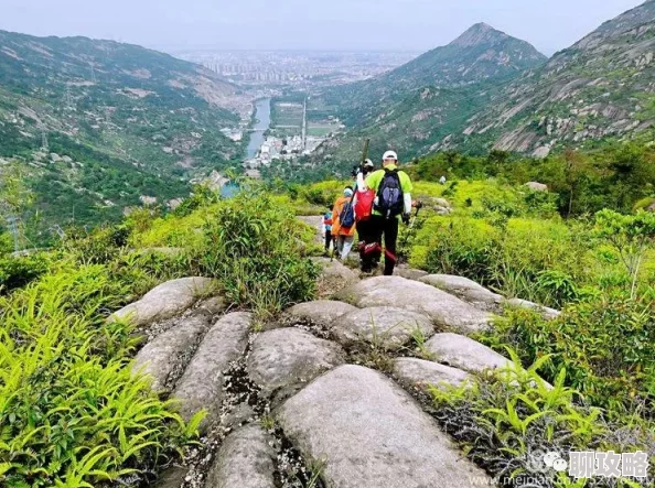 皇室战争新手指南：野猪女神卡组创新打法与策略深度解析