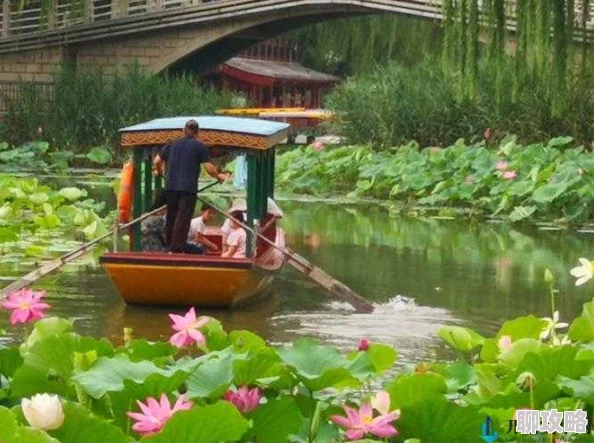 老人船上弄雨荷画作修复工作已完成九成预计下月正式展出 老人船上弄雨荷画作修复工作已完成九成预计下月正式展出