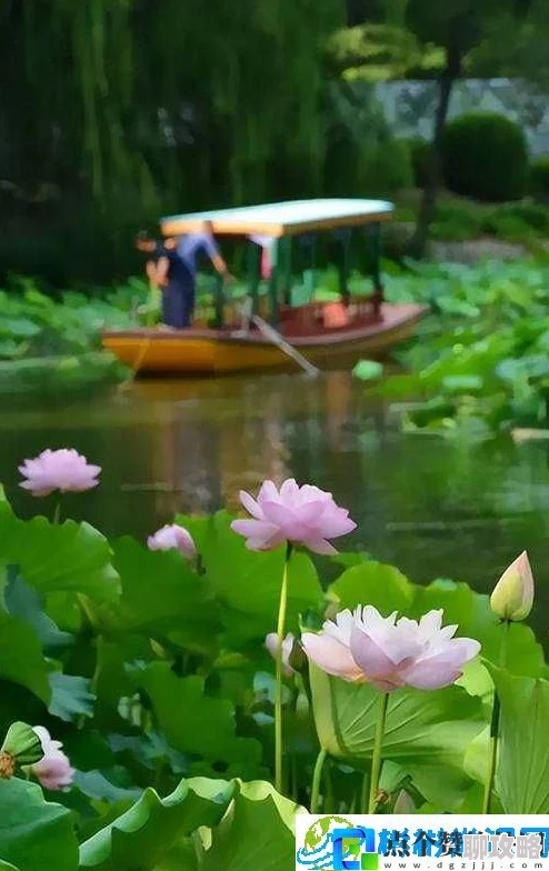 老人船上弄雨荷画作修复工作已完成九成预计下月正式展出 老人船上弄雨荷画作修复工作已完成九成预计下月正式展出