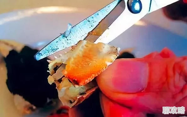 宝宝把腿分大点就可以吃到扇贝了扇贝已经被吃掉了现在宝宝可以吃鲍鱼了