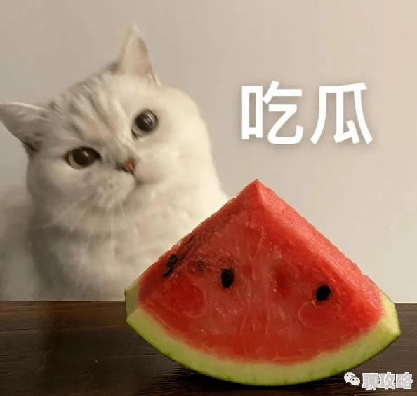 蘑菇视频吃瓜爆料网友爆料更多细节仍在核实中 蘑菇视频吃瓜爆料网友爆料更多细节仍在核实中