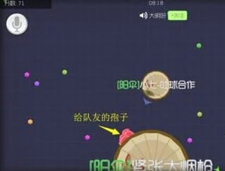 球球大作战新赛季团战模式:双排作战高效攻略与最新战术分享 球球大作战新赛季团战模式:双排作战高效攻略与最新战术分享