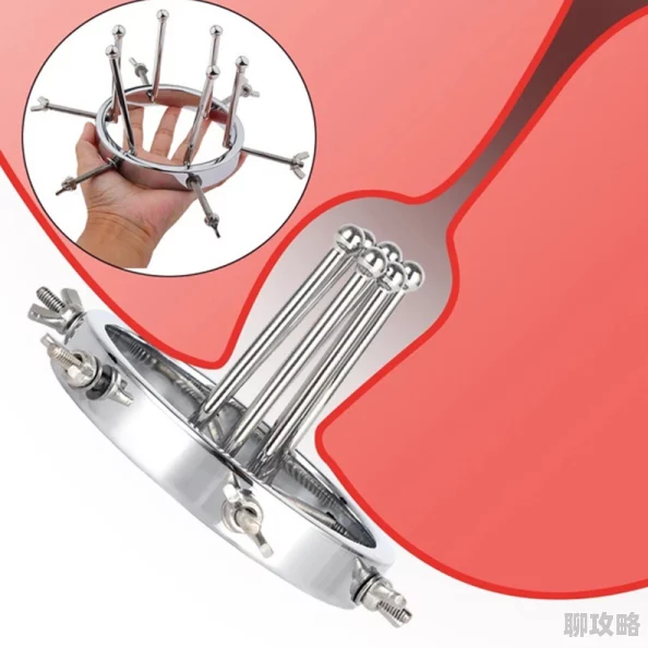 主人调教后菊撑开h训练持续进行扩张度已达极限