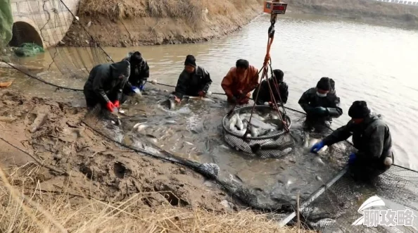 捕鱼来了!新版本揭秘:击杀闪电鱼后解锁的神秘效果与新鲜玩法一览 捕鱼来了!新版本揭秘:击杀闪电鱼后解锁的神秘效果与新鲜玩法一览