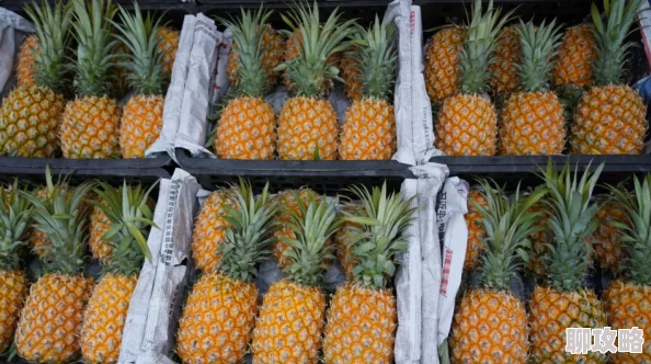 菠萝蜜菠萝菠萝菠萝6研发顺利进行中预计将于明年夏季正式上线 菠萝蜜菠萝菠萝菠萝6研发顺利进行中预计将于明年夏季正式上线