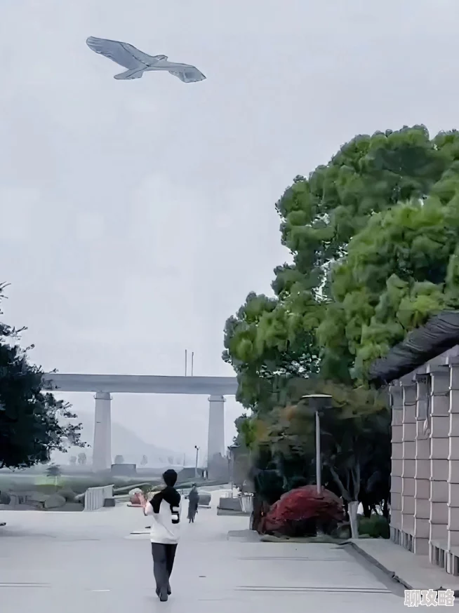 一本大道一卡二卡云之羽追逐梦想勇往直前让心灵自由翱翔 一本大道一卡二卡云之羽追逐梦想勇往直前让心灵自由翱翔