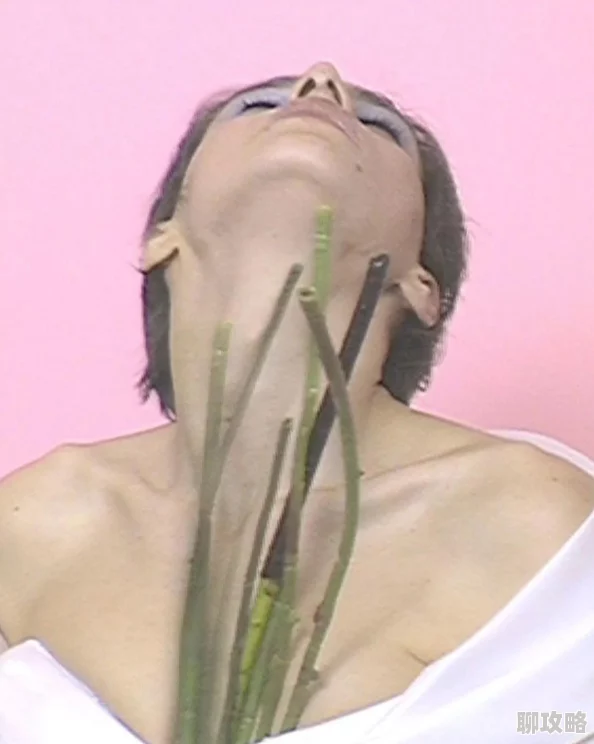 欧美18性欧美丶黑吊高清无码资源持续更新中