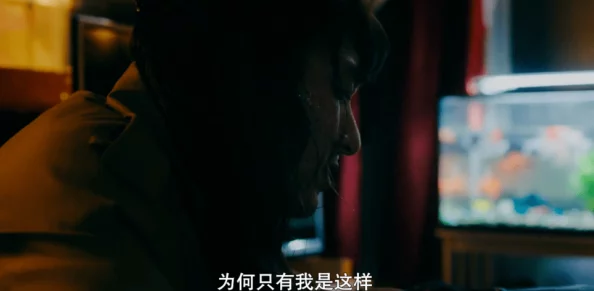 日本午夜免费理论片资源更新至第10集持续更新中