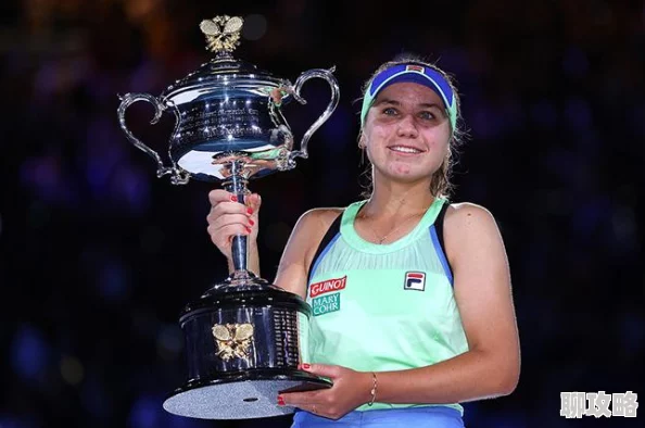 梦想海贼王新版本攻略：全面解析如何高效获取A卡及最新抽卡技巧