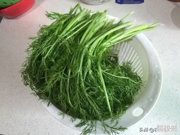 榴莲深夜里释放自己榴莲浓郁果香弥漫开来引来馋猫无数小区居民纷纷投诉 榴莲深夜里释放自己榴莲浓郁果香弥漫开来引来馋猫无数小区居民纷纷投诉