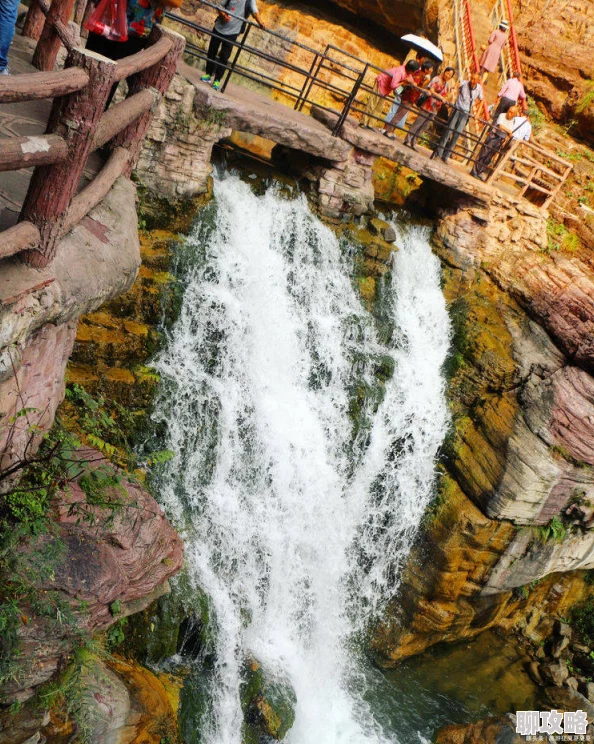 学校园高肉双腿打开h最新番外已更新至第10话剧情高能 学校园高肉双腿打开h最新番外已更新至第10话剧情高能