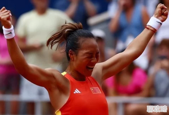 航海王强者之路2024最新版奇遇任务答案全集及最新玩法揭秘