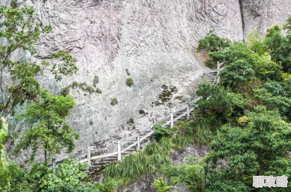 仙林踪幽谷深处异象频现主角一行深入险境