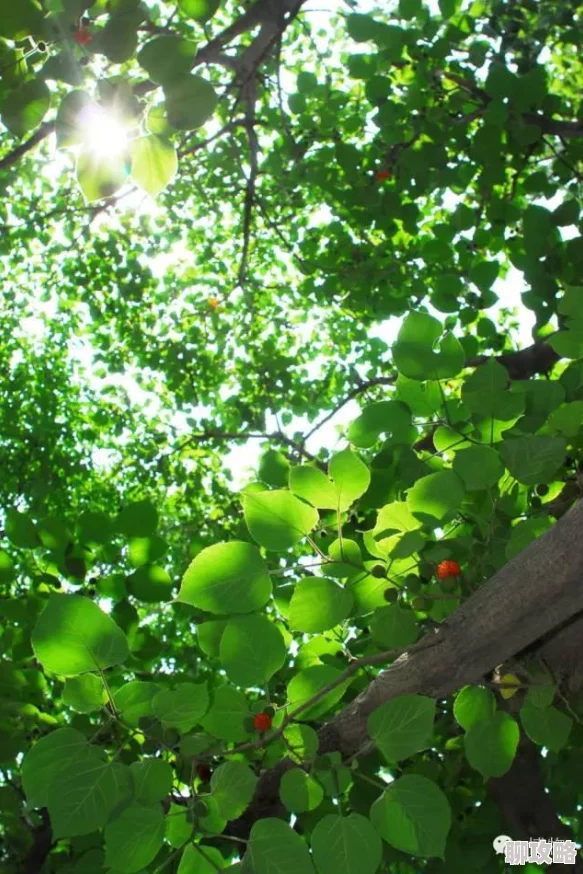 妖孽六君六位君王各自踏上征程开启全新篇章