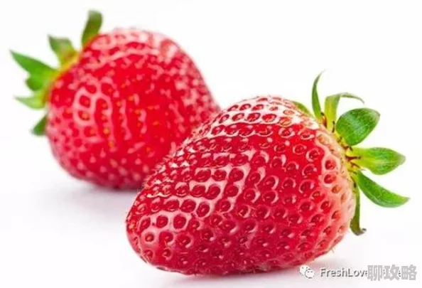 草莓视频链接探索夏日甜美享受各种草莓制品带来的味蕾盛宴