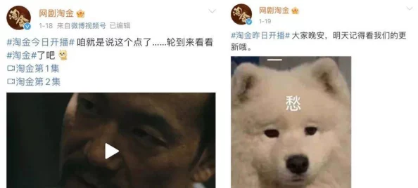 无毛白虎逼创作已暂停等待后续安排