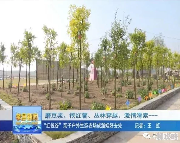 激情开心站版本更新新增趣味小游戏和精彩活动等你来体验