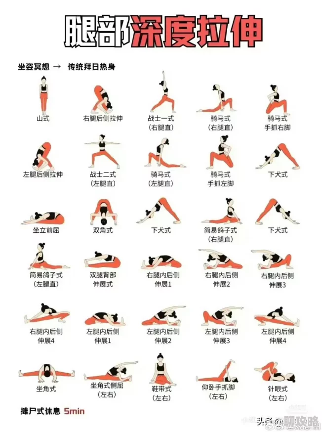 男女姿势大全图文展现瑜伽体式助你提升身心健康