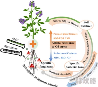 松焦油研究取得突破成功合成关键衍生物应用于新型生物材料