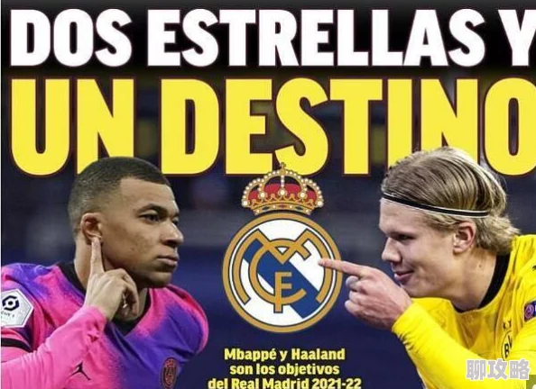 晋升老司机必经之路:2024巅峰战舰专用术语新鲜大盘点与解析 晋升老司机必经之路:2024巅峰战舰专用术语新鲜大盘点与解析