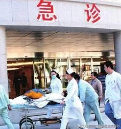 泰拉瑞亚新版本生命药剂合成全攻略:解锁新配方与材料解读 泰拉瑞亚新版本生命药剂合成全攻略:解锁新配方与材料解读