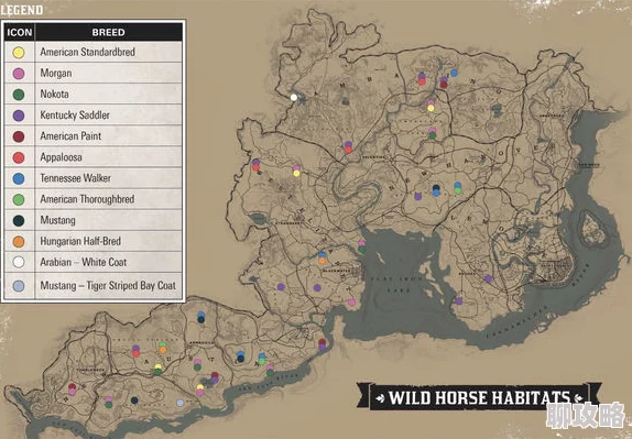 老镖客城中村探店达人破解探秘美食地图解锁隐藏美味攻略