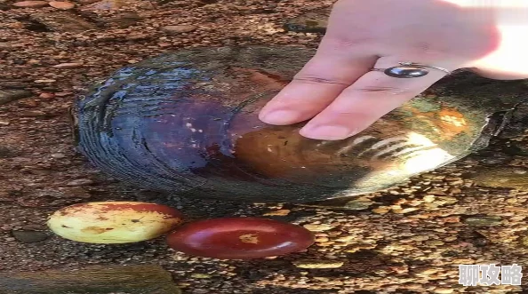 挺进美妇玉蚌深处探索神秘洞穴取得远古珍珠