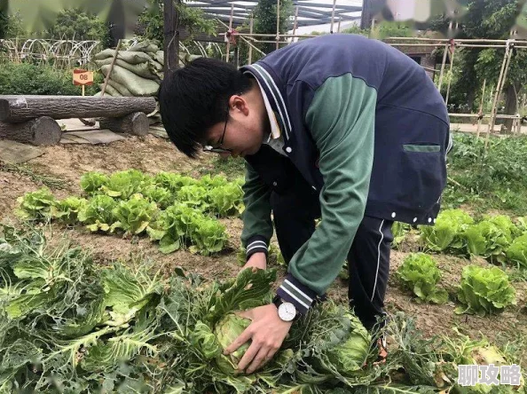 娇妻系列交换21部让我们珍惜身边的人与爱，传递温暖与正能量