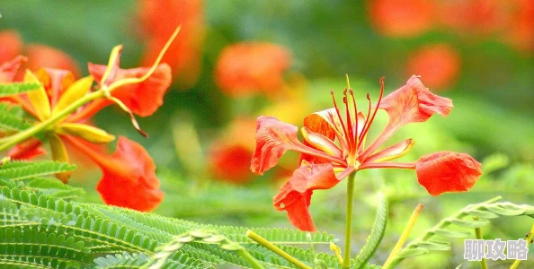 奇迹暖暖静谧花期套装外形图鉴:全新绽放,解锁春日时尚新篇章 奇迹暖暖静谧花期套装外形图鉴:全新绽放,解锁春日时尚新篇章