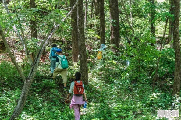 露营男女探索荒野秘境体验野外生存技能挑战自我极限 露营男女探索荒野秘境体验野外生存技能挑战自我极限