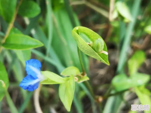 女叉男时光碎片珍惜每一刻让爱与希望在心中绽放