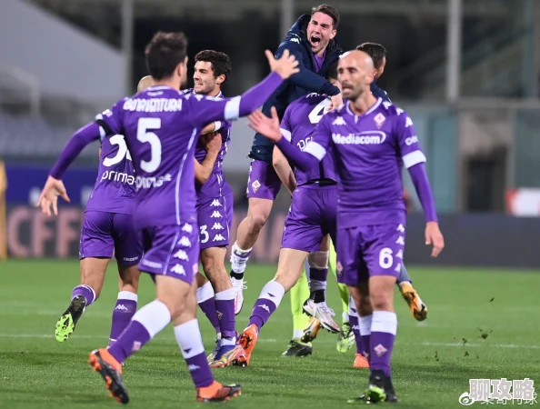 我与我与岳的风流往事23-24赛季意甲第15轮：罗马vs佛罗伦萨团结拼搏共创辉煌