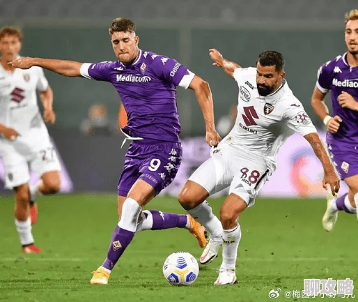 我与我与岳的风流往事23-24赛季意甲第15轮：罗马vs佛罗伦萨团结拼搏共创辉煌