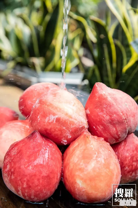 91密桃成熟的蜜桃汁水四溢甜美可口邀您品尝 91密桃成熟的蜜桃汁水四溢甜美可口邀您品尝