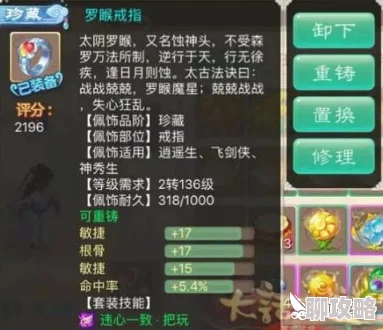 大话西游手游2024新趋势：深度解析负敏血宠培养与实战攻略介绍