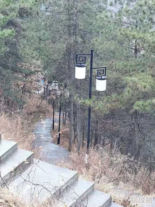 妻友社区我们致力于打造更安全友好的交流平台