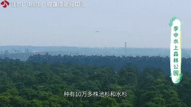 迷雾世界新探索：幻境与实景无缝切换技巧大揭秘教学