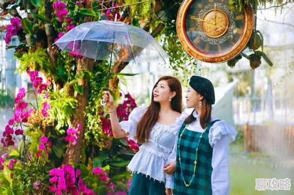 奇迹暖暖：全新解读战斗爱丽丝套装属性及顶配搭配策略分析