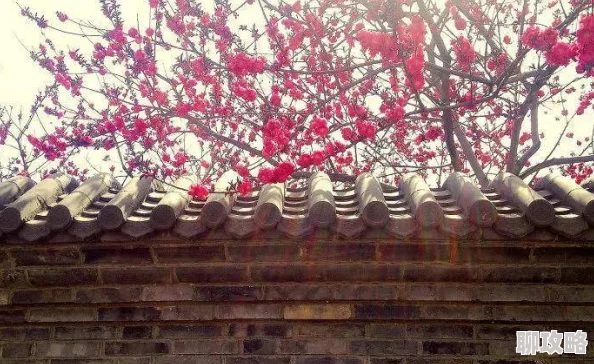 怡春院青青草春色满园关不住一枝红杏出墙来 怡春院青青草春色满园关不住一枝红杏出墙来