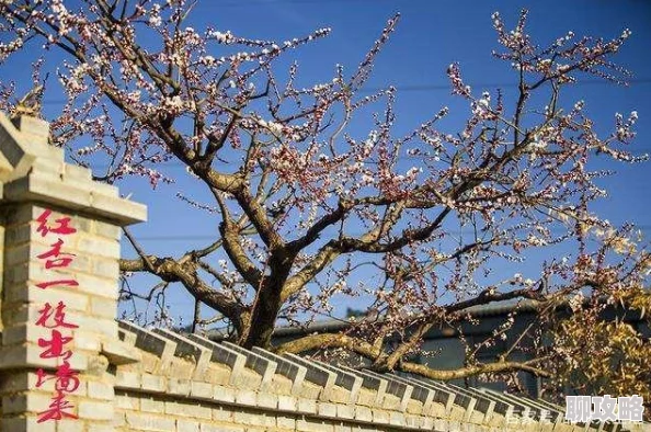 怡春院青青草春色满园关不住一枝红杏出墙来 怡春院青青草春色满园关不住一枝红杏出墙来