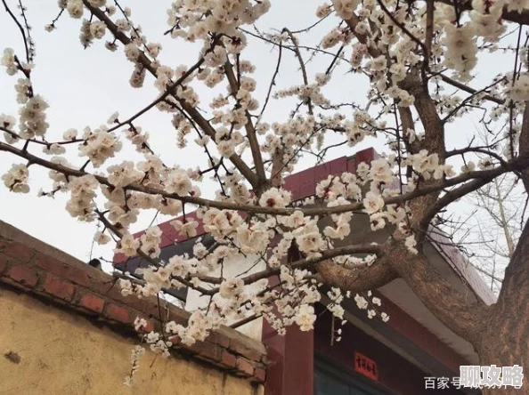 怡春院青青草春色满园关不住一枝红杏出墙来 怡春院青青草春色满园关不住一枝红杏出墙来