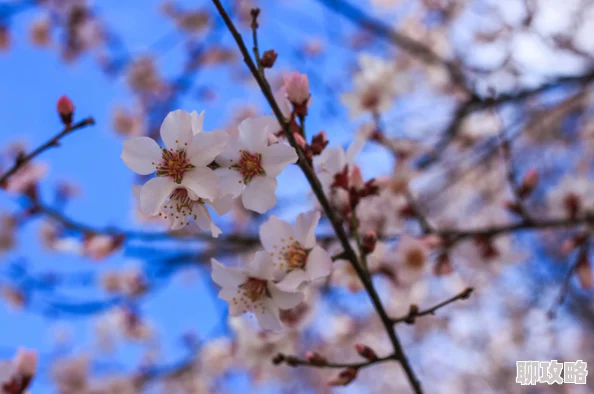 《桃花村里桃花运》免费阅读最新章节更新精彩纷呈引发读者热议 《桃花村里桃花运》免费阅读最新章节更新精彩纷呈引发读者热议