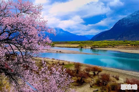 《桃花村里桃花运》免费阅读最新章节更新精彩纷呈引发读者热议 《桃花村里桃花运》免费阅读最新章节更新精彩纷呈引发读者热议