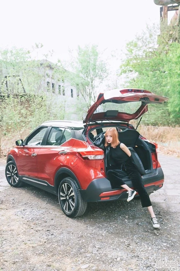 双女车车积极向上勇敢追梦生活充满希望与爱 双女车车积极向上勇敢追梦生活充满希望与爱