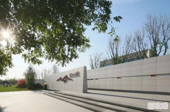 一级二级片 资源稀缺 内容模糊 年代久远 真伪难辨 一级二级片 资源稀缺 内容模糊 年代久远 真伪难辨